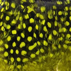 Best Pirce π Hareline Dubbin LLC Fly Tying UV2 Large Eyed Guinea Feathers π― 10 Hareline Dubbin LLC Fly Tying UV2 Large Eyed Guinea Feathers