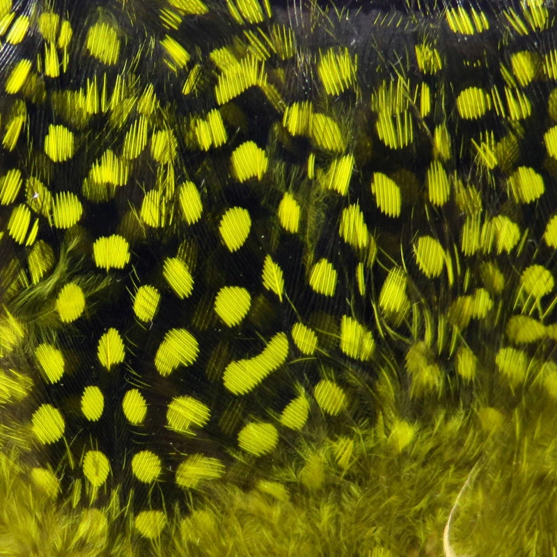 Best Pirce π Hareline Dubbin LLC Fly Tying UV2 Large Eyed Guinea Feathers π― 6 Hareline Dubbin LLC Fly Tying UV2 Large Eyed Guinea Feathers