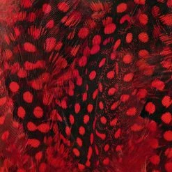 Best Pirce π Hareline Dubbin LLC Fly Tying UV2 Large Eyed Guinea Feathers π― 8 Hareline Dubbin LLC Fly Tying UV2 Large Eyed Guinea Feathers