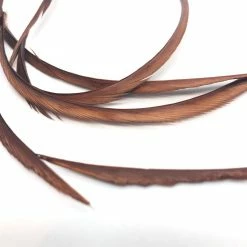 Wapsi Goose Biots Fly Tying