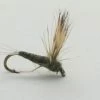 Umpqua Matthew’s BWO Dun