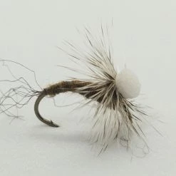 Umpqua Brooks Sprout Callibaetis Size 14 Flies