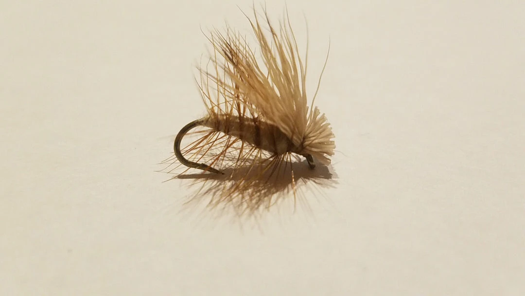 Best Sale π Umpqua Elk Hair Caddis β¨ 5 Umpqua Elk Hair Caddis