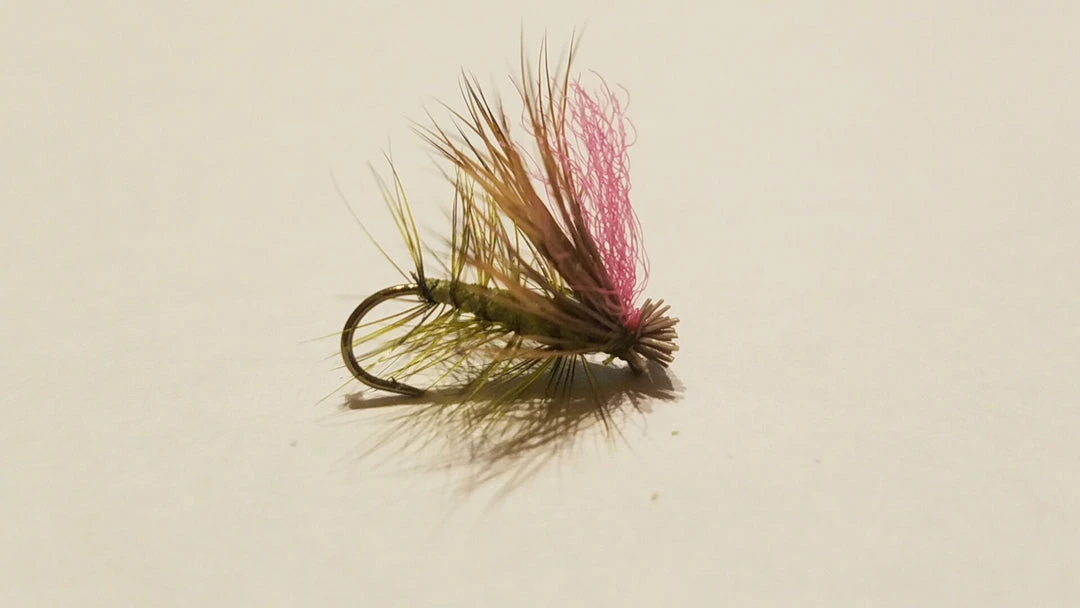 Best Sale π Umpqua Elk Hair Caddis β¨ 7 Umpqua Elk Hair Caddis