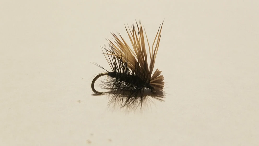 Best Sale π Umpqua Elk Hair Caddis β¨ 10 Umpqua Elk Hair Caddis