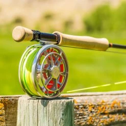 Best Sale ๐ Ross Evolution R Reel Rods And Reels โค๏ธ 7 Ross Evolution R Reel Rods And Reels