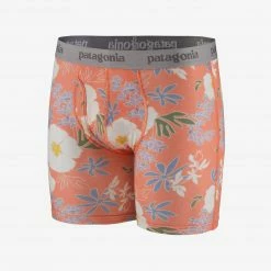 Patagonia Men's Essential Boxer Brief Clothing