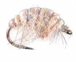 Hot Sale π€© Solitude Fly Co Flies Hunchback Scud β€οΈ 5 Solitude Fly Co Flies Hunchback Scud