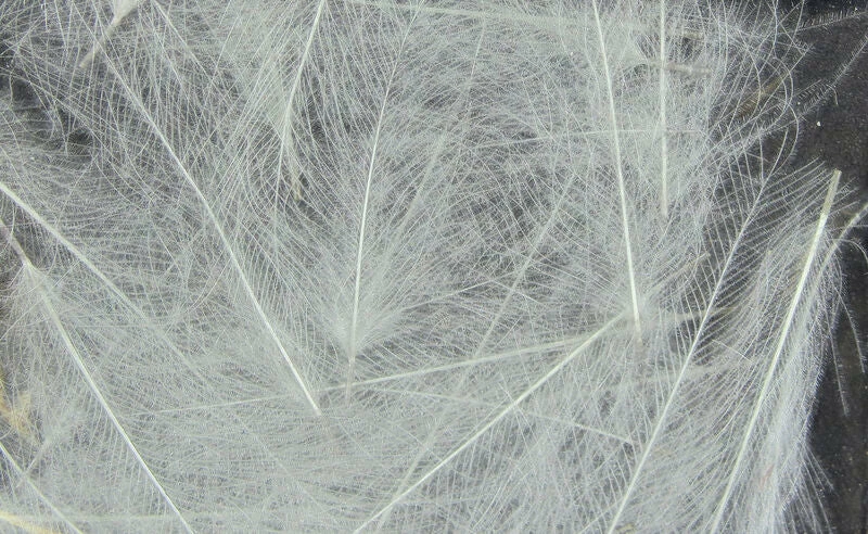 Budget π― Hareline Dubbin LLC Fly Tying Spirit River UV2 Select CDC 𧨠5 Hareline Dubbin LLC Fly Tying Spirit River UV2 Select CDC