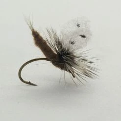 Umpqua Flies Callibaetis Extended Body