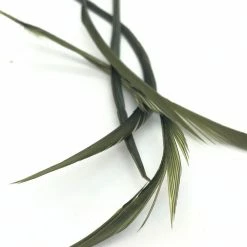 Wapsi Goose Biots Fly Tying