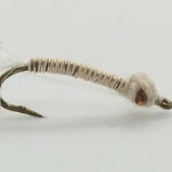 Rainy’s Ultra Mysis Shrimp Size 16