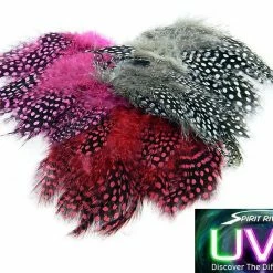 Hareline Dubbin LLC Fly Tying UV2 Large Eyed Guinea Feathers
