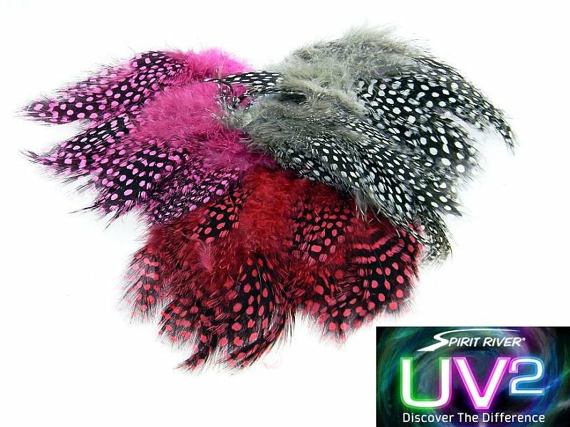 Best Pirce π Hareline Dubbin LLC Fly Tying UV2 Large Eyed Guinea Feathers π― 3 Hareline Dubbin LLC Fly Tying UV2 Large Eyed Guinea Feathers