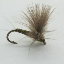 Umpqua Flies CDC Biot Comparadun BWO