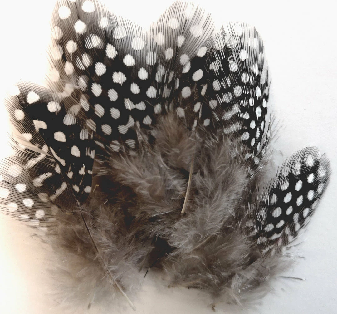 Best Pirce π Hareline Dubbin LLC Fly Tying UV2 Large Eyed Guinea Feathers π― 5 Hareline Dubbin LLC Fly Tying UV2 Large Eyed Guinea Feathers