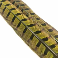 Wapsi 1 Pair Ringneck Pheasant Tail Feathers Fly Tying