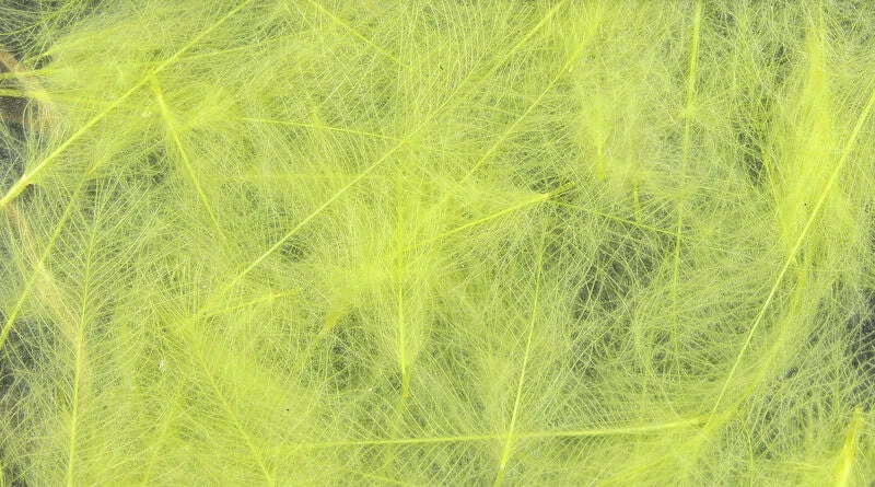 Budget π― Hareline Dubbin LLC Fly Tying Spirit River UV2 Select CDC 𧨠7 Hareline Dubbin LLC Fly Tying Spirit River UV2 Select CDC