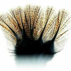 Best Pirce π Hareline Dubbin LLC Hareline Dubbin Coq De Leon Fly Tying π 12 Hareline Dubbin LLC Hareline Dubbin Coq De Leon Fly Tying