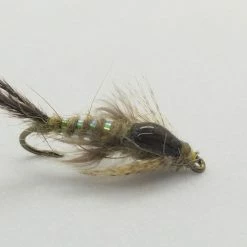 Umpqua Mercer Poxyback Callibaetis Size 14