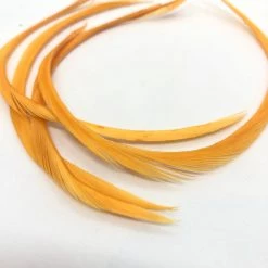 Wapsi Goose Biots Fly Tying