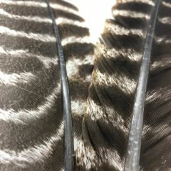 Hareline Dubbin LLC Hareline Ozark Oak Mottled Turkey Quills