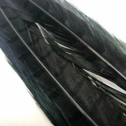 Wapsi 1 Pair Ringneck Pheasant Tail Feathers Fly Tying