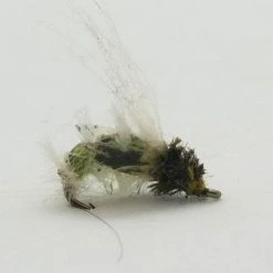 Umpqua Thin Skin Caddis Larva, Sz 14