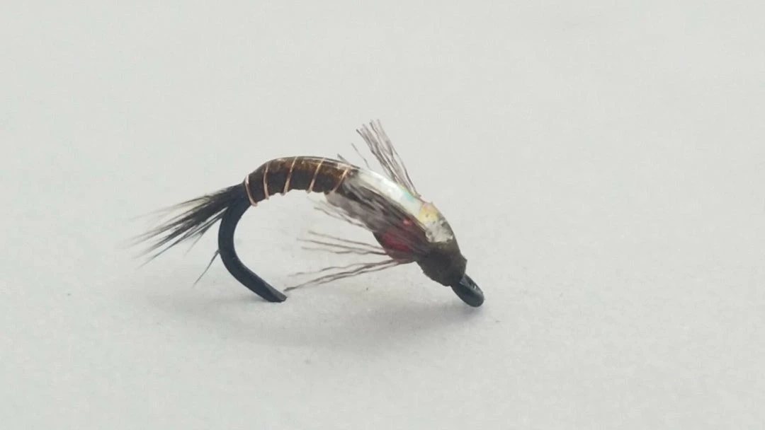 New π― Umpqua Shotglass Baetis π 3 Umpqua Shotglass Baetis