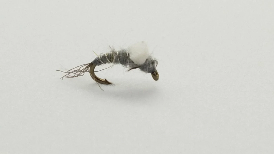 Top 10 π Solitude Fly Co Flies Foam Back Emerger π 4 Solitude Fly Co Flies Foam Back Emerger