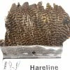 Hareline Dubbin LLC Hareline Dubbin Hen Cape Fly Tying