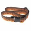 Rep Your Water Wingo Outdoors Basecamp Belt