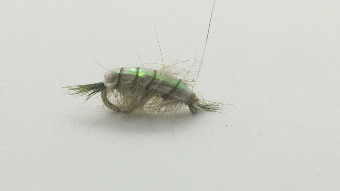 New ⭐ Montana Fly Company Scud Gray/Olive ✔️ 3 Montana Fly Company Scud Gray/Olive