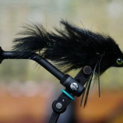 Umpqua Baby And Double Gonga