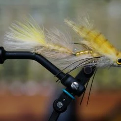 Umpqua Baby And Double Gonga