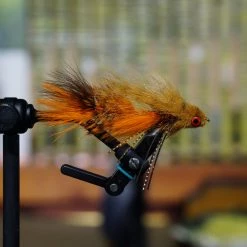 Umpqua Baby And Double Gonga