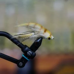 Umpqua Baby And Double Gonga