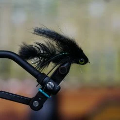 Umpqua Baby And Double Gonga