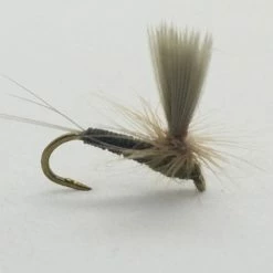 Umpqua Silhouette Dun BWO