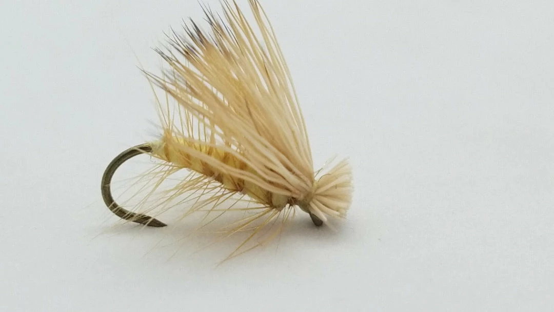 Best Sale π Umpqua Elk Hair Caddis β¨ 13 Umpqua Elk Hair Caddis