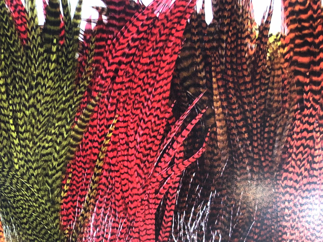 Brand new π Wapsi Ewing Grizzly Rooster Half Saddles 𧨠3 Wapsi Ewing Grizzly Rooster Half Saddles