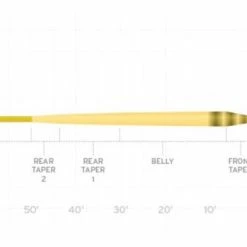 Scientific Anglers Amplitude Smooth Infinity Fly Line Essentials