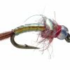 Umpqua Rainbow Warrior