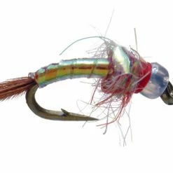 Umpqua Rainbow Warrior