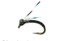 Dreamcast Dailey's Tailwater Assassin Flies