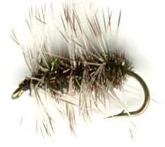 Dreamcast Griffith's Gnat