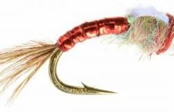 Umpqua Rainbow Warrior