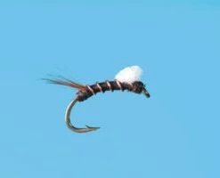 Solitude Fly Co Copper Ribbed RS2 Foam Wing