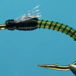 Umpqua Jujubee Midge