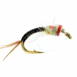 Umpqua Rainbow Warrior